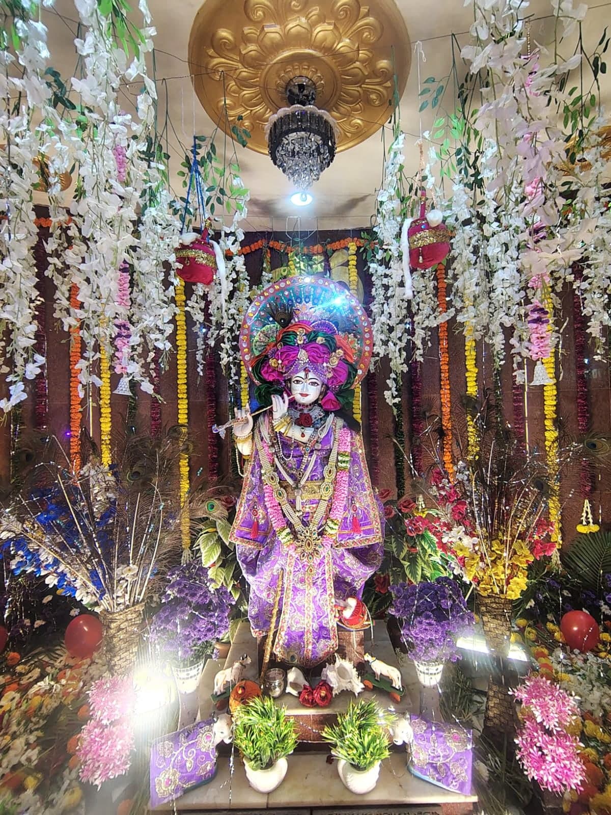 Shree Gopal Krishna beneath a golden canopy and chandelier, framed by hanging flowers